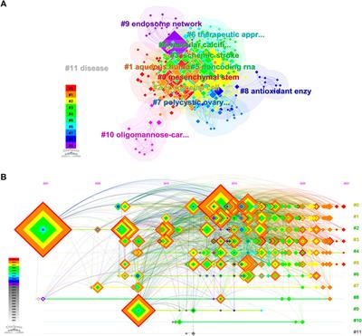 Extracellular vesicles in the treatment of oxidative stress injury: global research status and trends